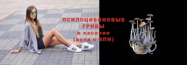 дмт Бугульма