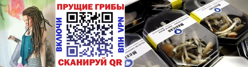 где найти наркотики  Нахабино  Псилоцибиновые грибы GOLDEN TEACHER 